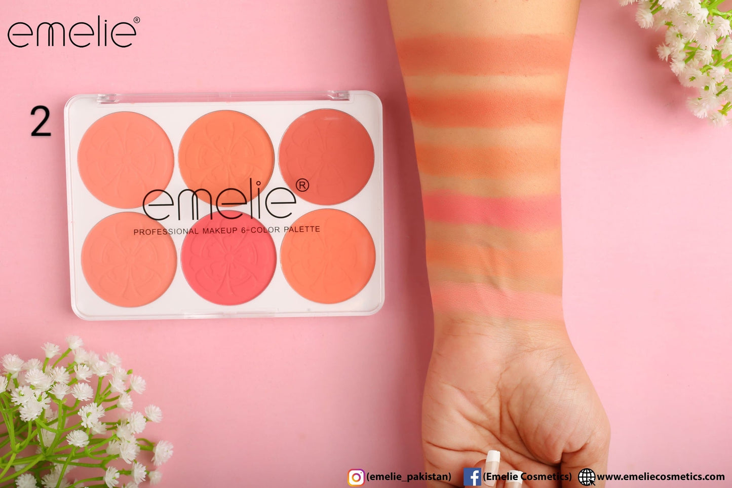 Emelie Matte Blusher 6 Color Pallete