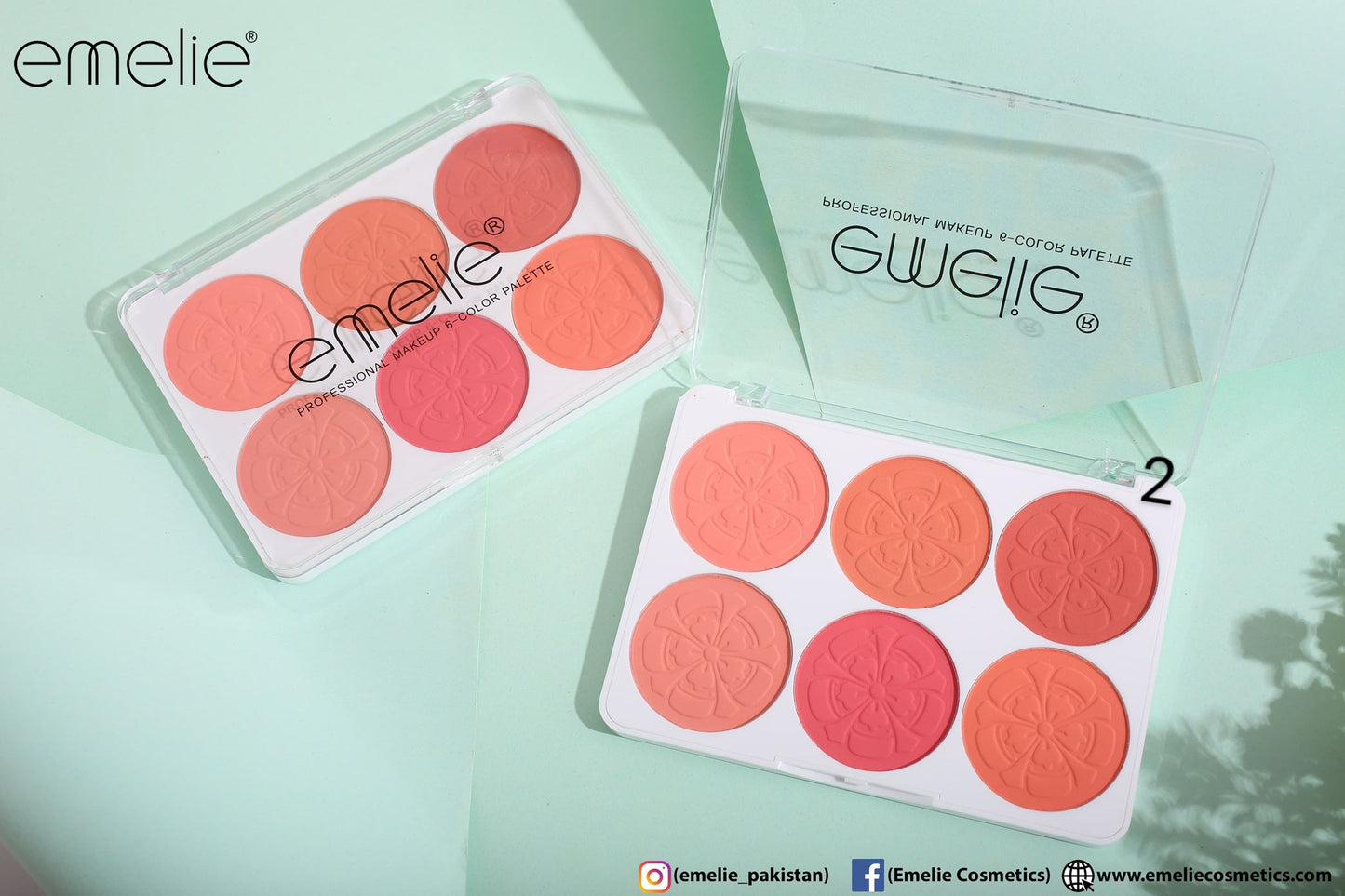 Emelie Matte Blusher 6 Color Pallete