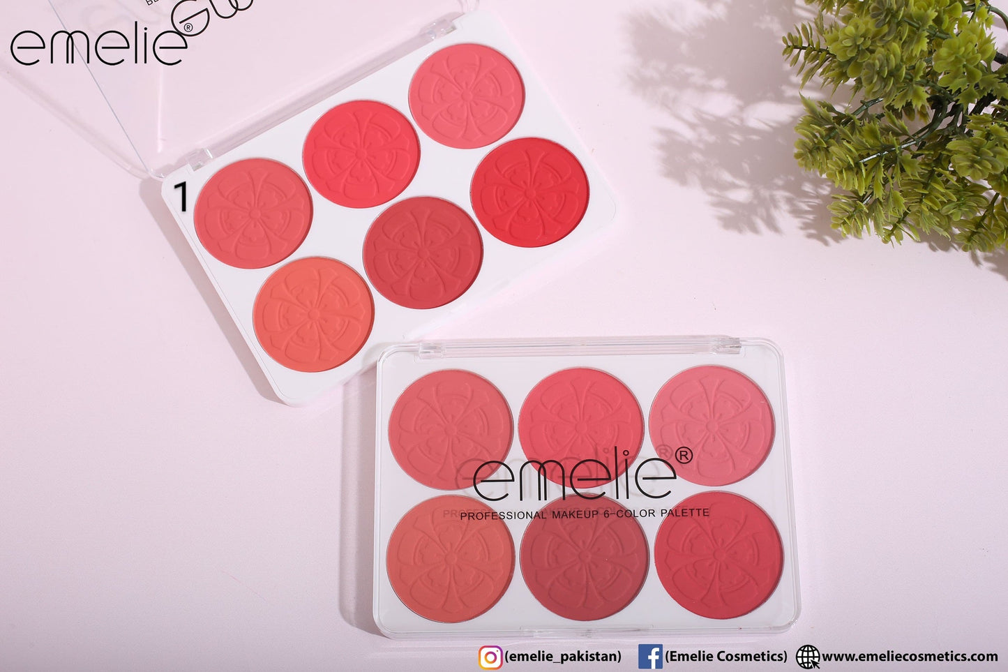 Emelie Matte Blusher 6 Color Pallete