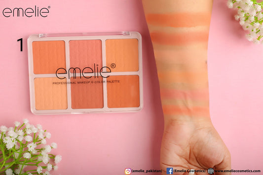 Emelie Matte Blusher 6 Color Pallete