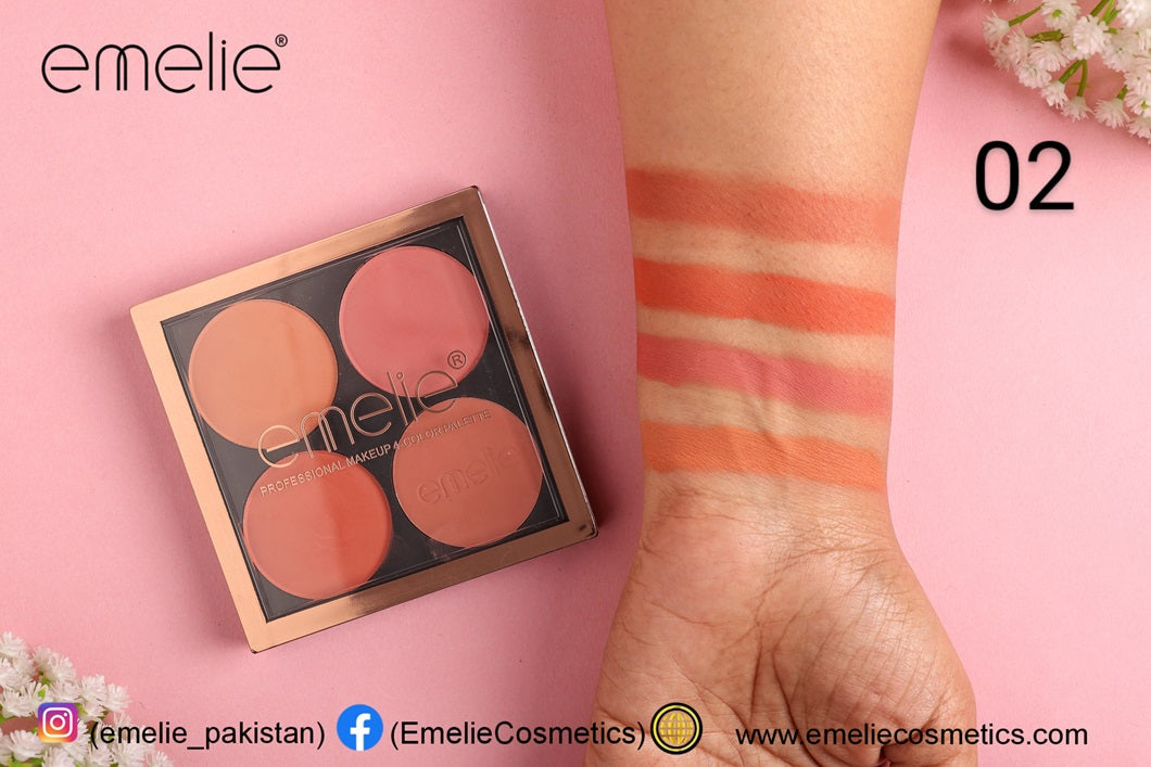 Emelie Professional Makeup 4 Color Palette