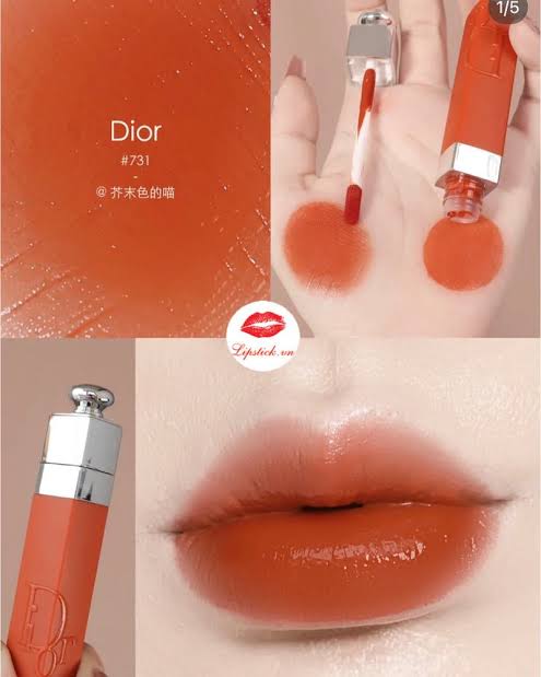 DIOR addict lip tint || 731 Natural Ginger