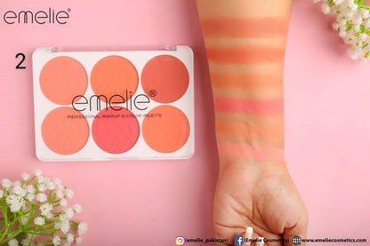 Emelie Matte Blusher 6 Color Pallete